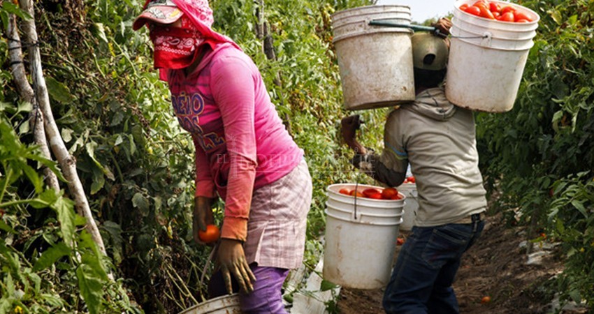 24% de la población productiva en BCS trabaja en condiciones dignas mínimas