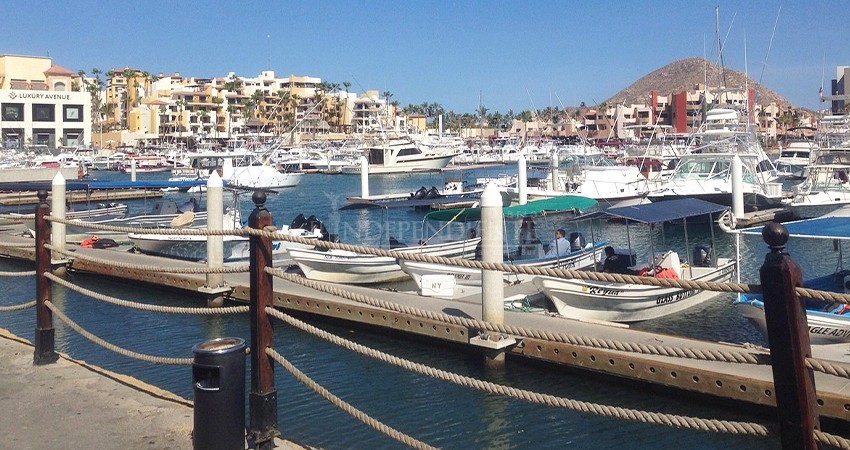 Finalmente, Marina de Cabo San Lucas cuenta con videovigilancia en toda la zona