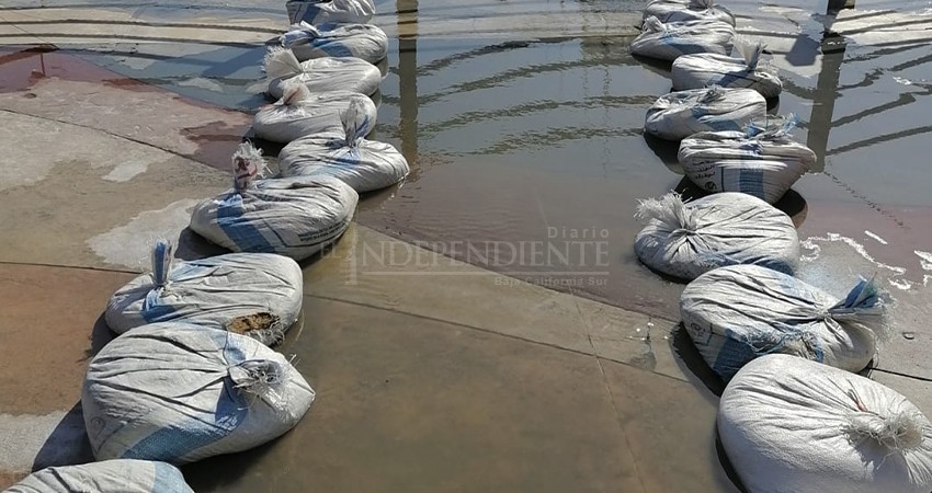 Colapsa el drenaje en andadores de la marina turística de CSL