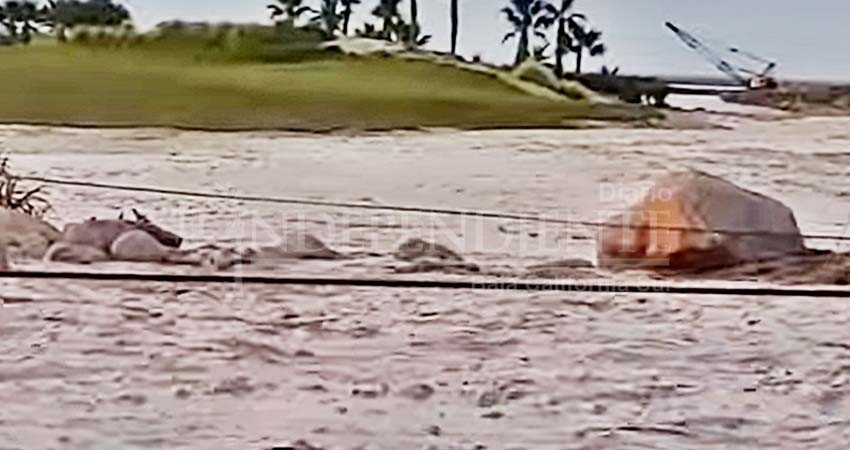 Arroyo recobra su cauce y se lleva el campo de golf de Costa Palmas