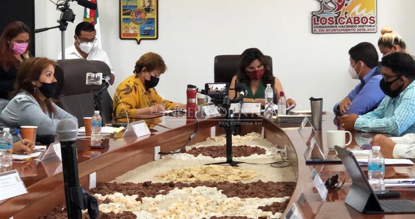 Continúa en la cuerda floja el programa de protección a la tortuga marina