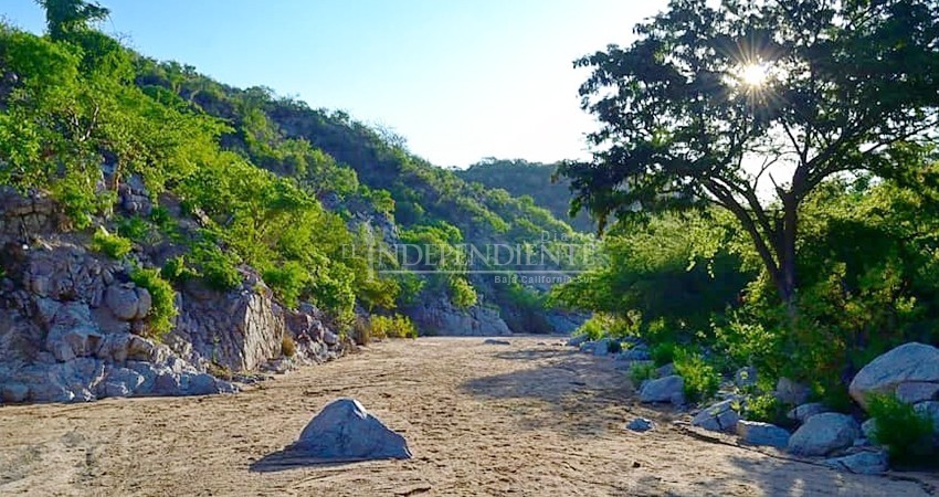 Joven cineasta logra apoyo de Imcine para presentar la Revolución a la sudcaliforniana