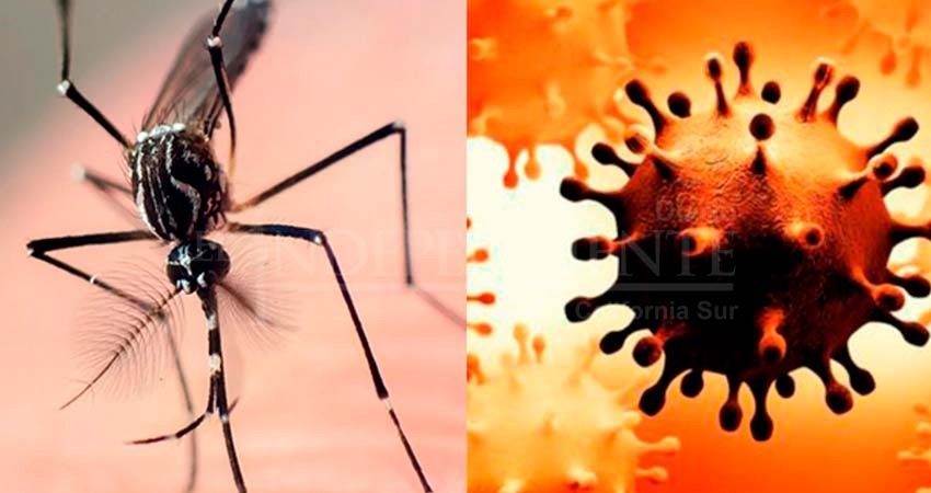 Temporada alta de transmisión del dengue obliga a reforzar acciones contra el Covid