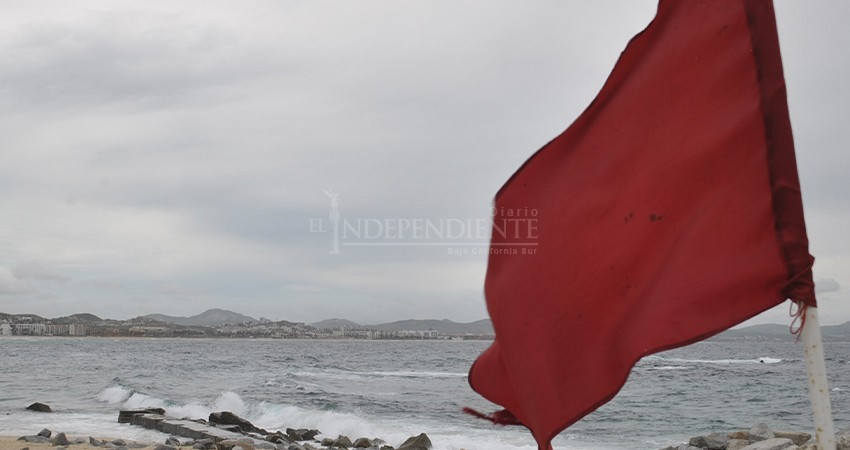 Advierte Zofemat sobre fuertes marejadas durante el transcurso de la semana