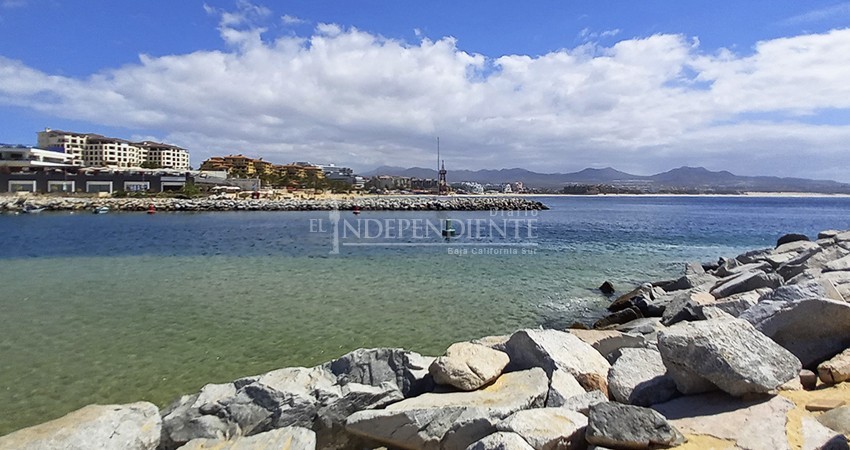 Histórico mes para el turismo en El Médano: Empresarios