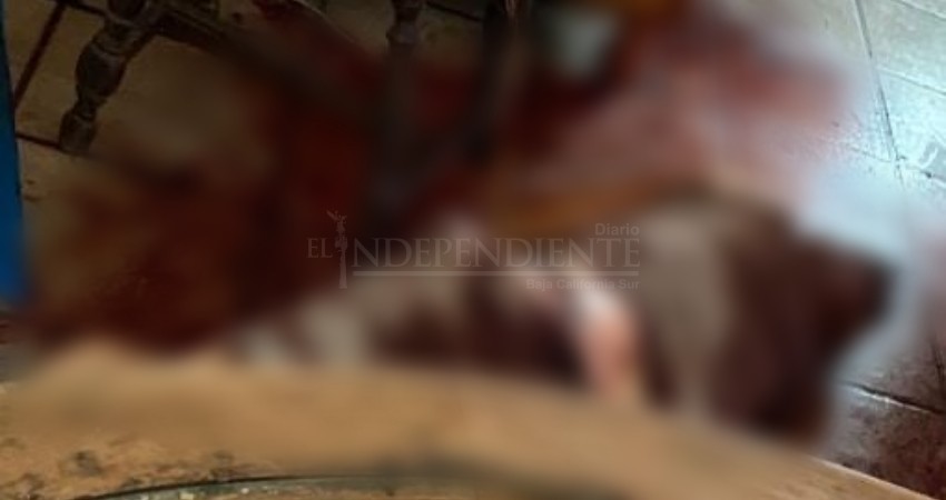 Encuentran sin vida a extranjero en el centro de La Paz