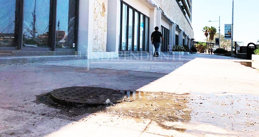Permanente el problema de aguas negras en marina turística de CSL