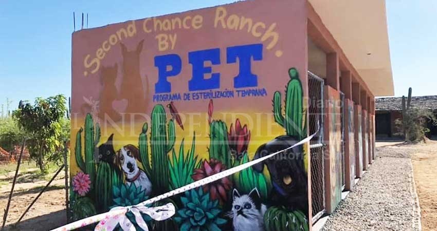 PET Los Cabos brinda una segunda oportunidad a perritos sin hogar