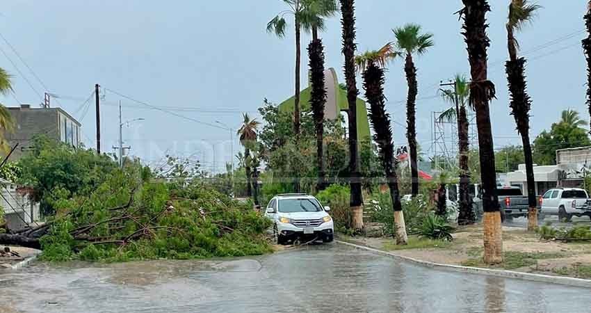 Saldo blanco tras el paso de Olaf en BCS