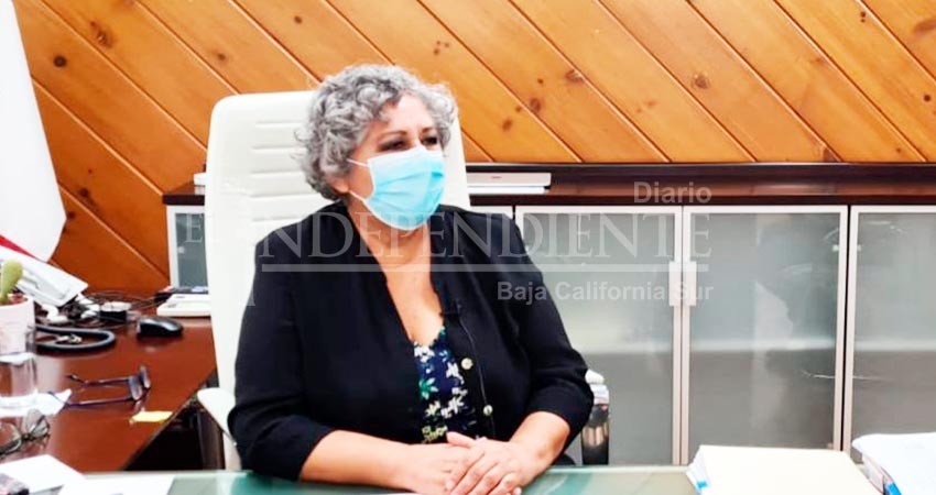 No se unieron a la educación a distancia 40 mil estudiantes sudcalifornianos: SEP