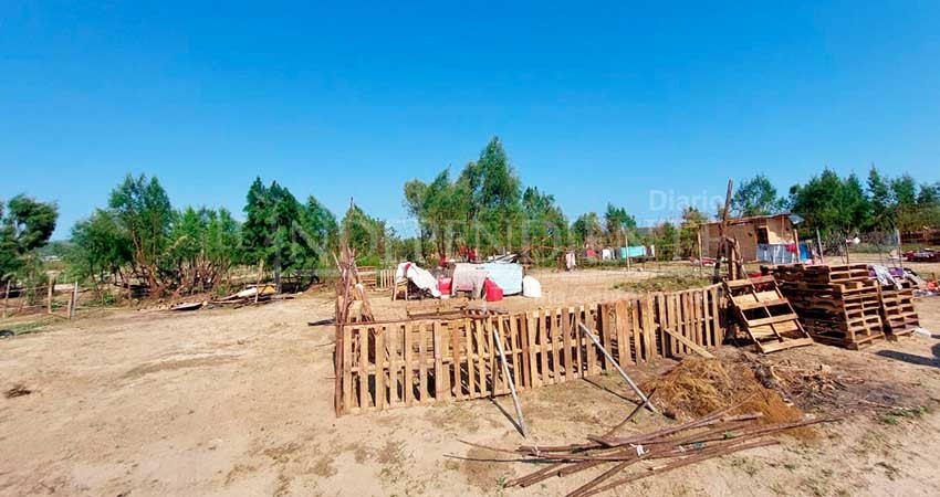 Quedaron sin hogar 20  familias en San José del Cabo