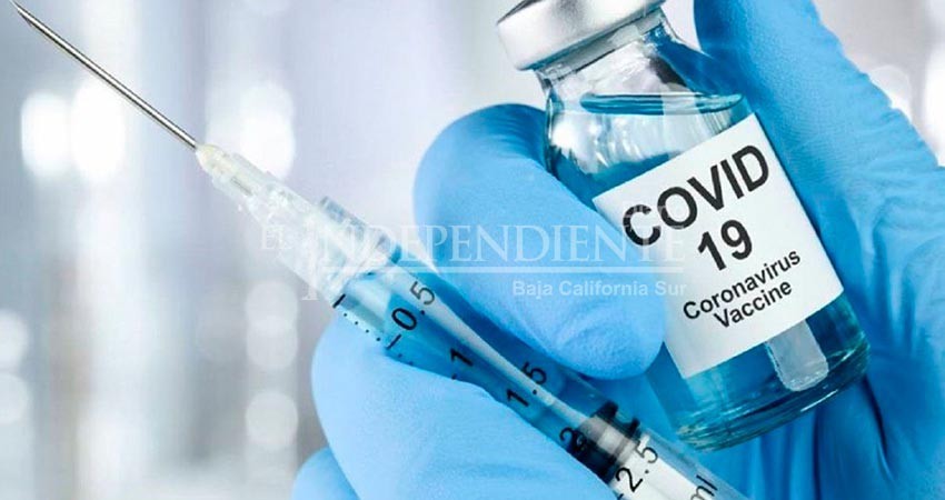 Pide SNTE que se priorice posible segunda vacuna a maestros