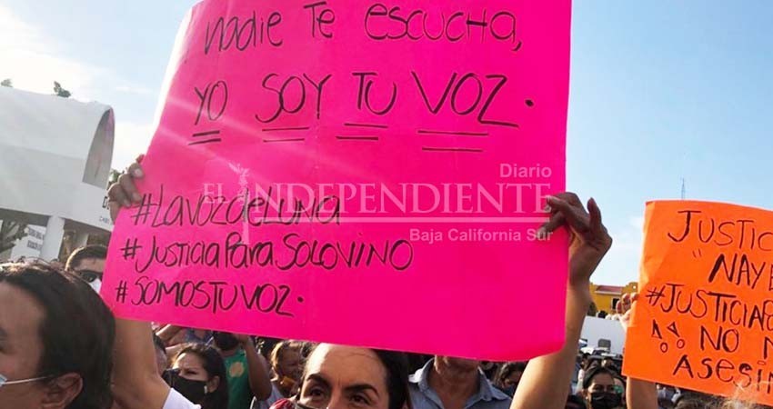 Caso de perrita Luna no quedará pendiente, advierte grupo de defensa de los animales