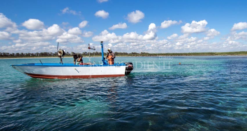 Muy afectado el sector pesquero y agropecuario de BCS