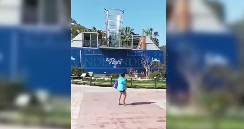 Delfines en peligro por la nueva atracción turística en Cabo San Lucas 