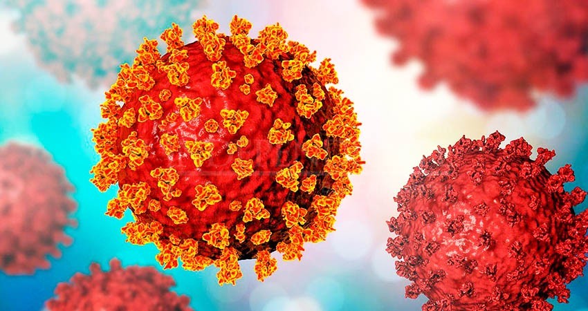 Científicos suizos descubren cómo bloquear la infección del coronavirus SARS-CoV-2