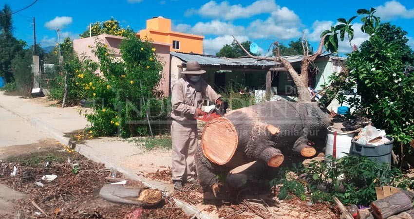 Avanza Servicios públicos de Los Cabos con el plan emergente de limpieza