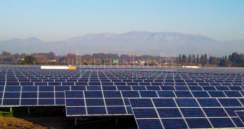 Terminan parque solar en Comondú: “Tenemos permisos y rescatamos 30,000 cactus”