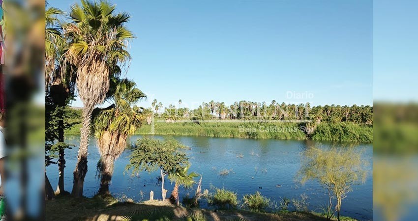 Se necesita reserva territorial para evitar asentamientos en los alrededores del Estero Josefino   