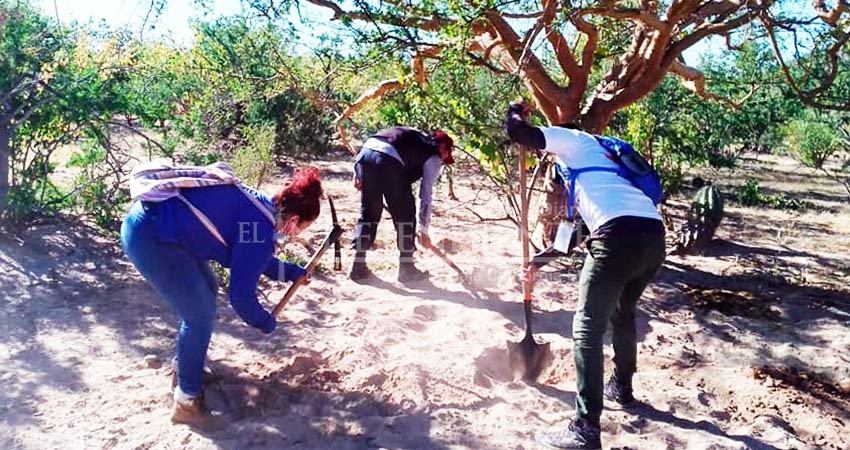 Evidencia CNDH rezago de BCS en materia de desapariciones