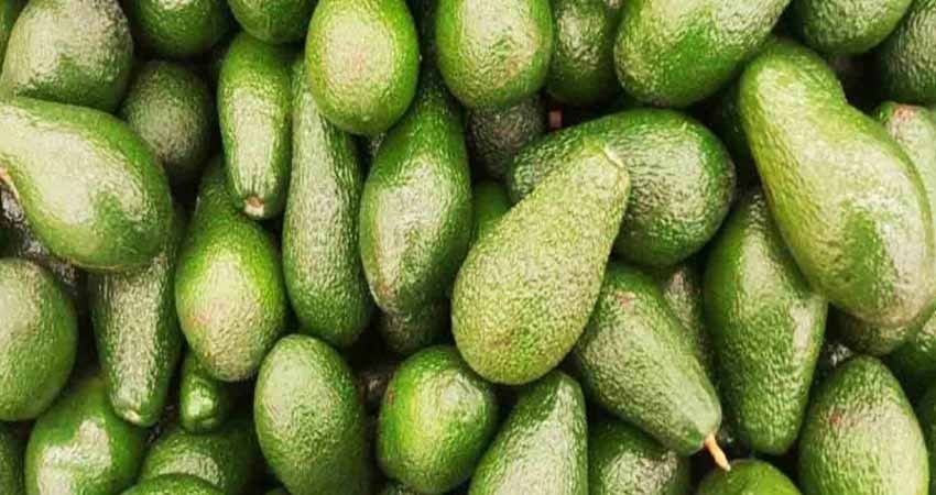 Agreden a vendedor de pan en Veracruz, difunden video