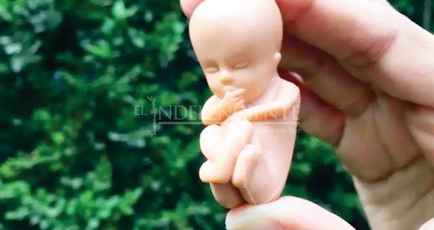 Marco normativo sobre el aborto en BCS  debe para adecuarse al fallo de la SCJN: Avilés Castro