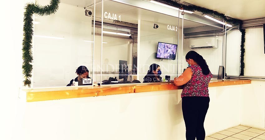 Recaudación en Los Cabos es por el orden de 437 MDP en el 1er trimestre de la Administración: Tesorero Municipal