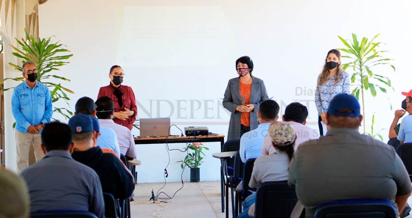 Capacita UABCS a personal administrativo en diseño e instalación de áreas verdes y sistemas de captación de agua