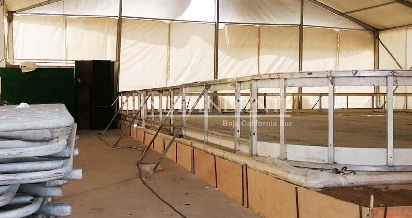 Pista de hielo de Los Cabos lleva 6 días de retraso en su inauguración