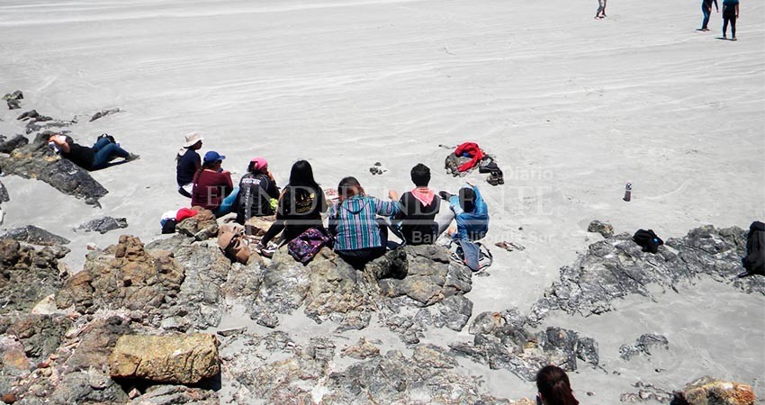 Convocan a estudiantes de UABCS a participar en foro sobre visión del turismo en la era post Covid-19