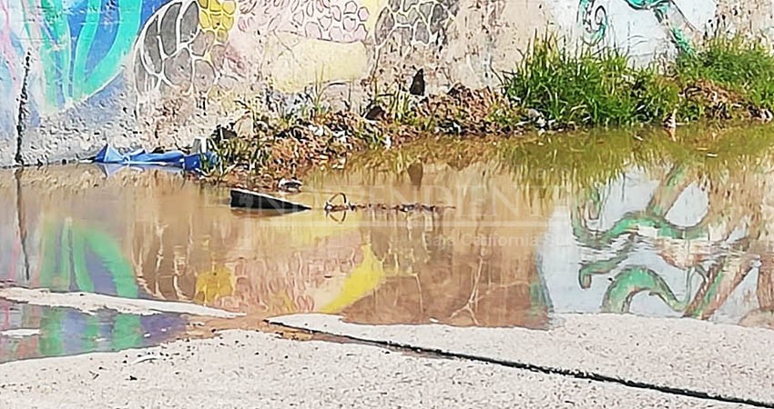 En el Esterito conviven entre olores fétidos; cárcamo tira aguas negras que van al mar