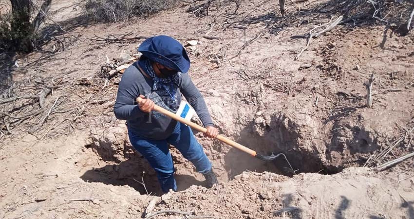 Piden intervención de la población para identificar restos óseos de BCS