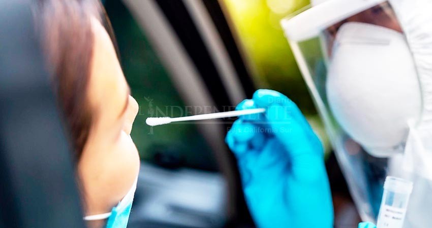 BCS aún lejos de alcanzar la inmunidad de rebaño al Covid-19: SSA