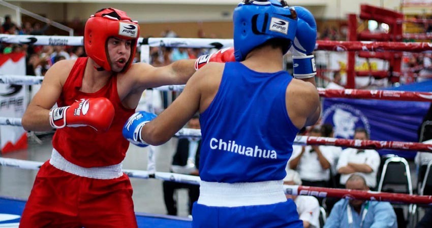BCS será sede del boxeo de la etapa regional de nacionales CONADE