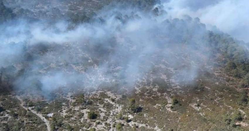Se registra incendio forestal en Galeana, Nuevo León