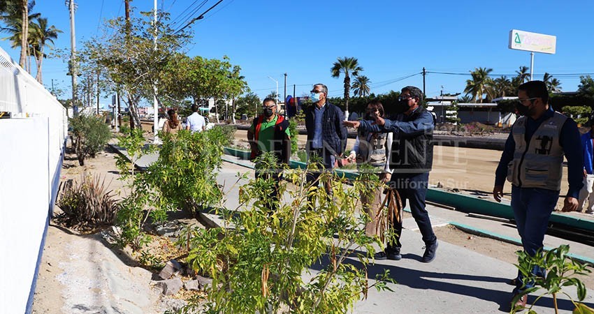 Advierte SEPUIMM que trabaja para garantizar infraestructura vial inclusiva en BCS