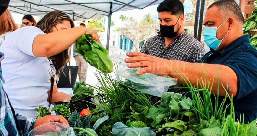 Singapur, Tailandia, Camboya de los países que se hermanaron con Los Cabos para crecimiento del turismo   2