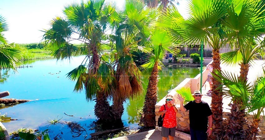 Reserva Ecológica Estero de SJC, el humedal más importante de BCS