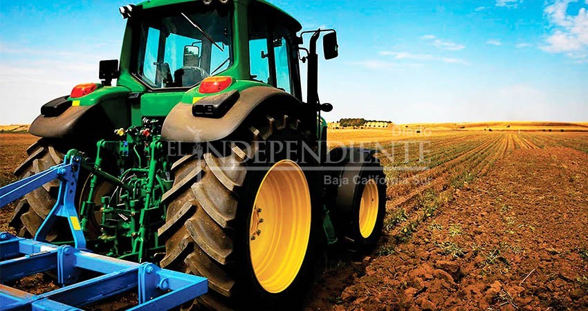 Ideales para los cultivos las temperaturas que ha registrado BCS: Sepada