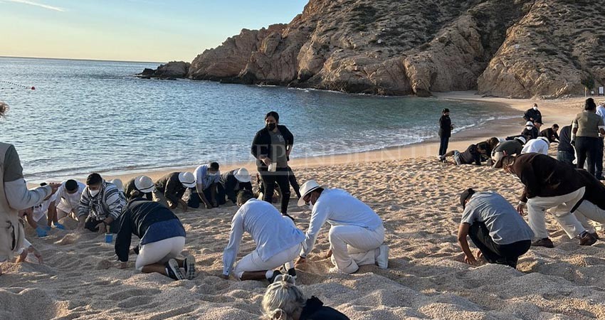 Zofemat Los Cabos mantiene jornadas para el retiro de microresiduos en playas