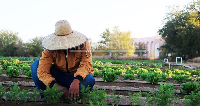 UABCS conmemora el Día del Ingeniero Agrónomo