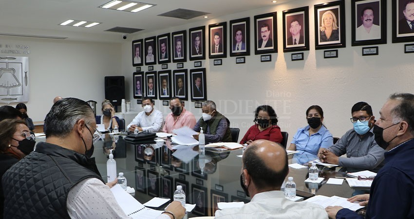 Trabajan gobiernos y asociaciones en actualizar marco legal de protección de animales