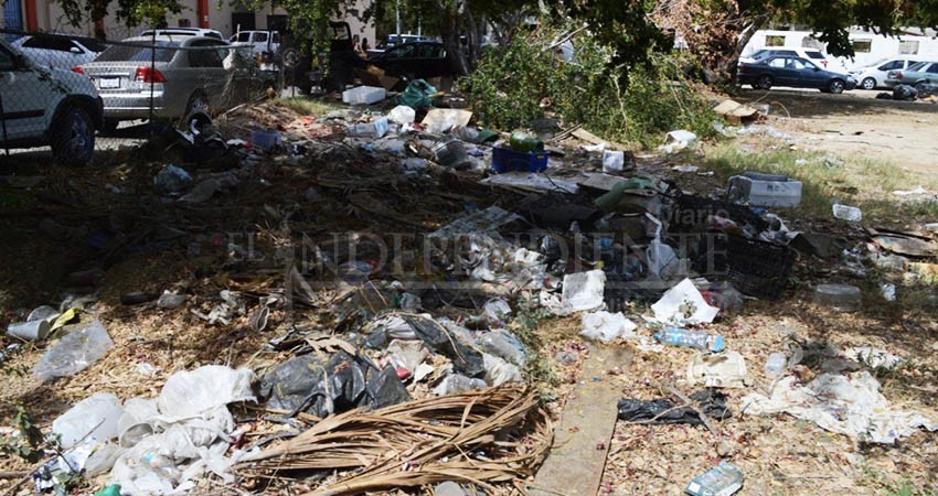 Place At Cabo en la Marina, convertido en basurero