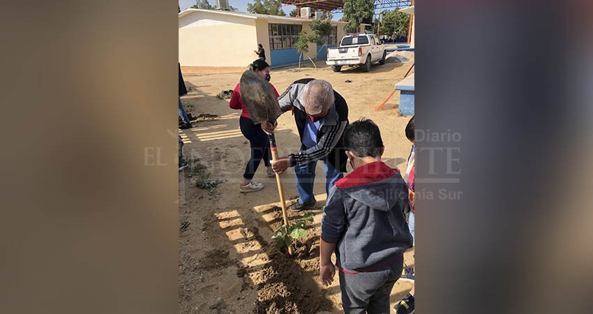 Continúan los trabajos de reforestación de escuelas públicas en Los Cabos