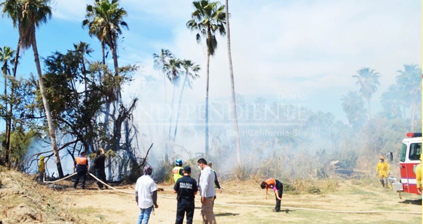 Por segunda vez en el año se incendia el Estero de San José del Cabo