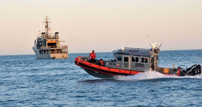 México y Estados Unidos dialogan sobre vaquita marina y totoaba