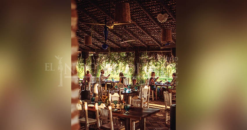 El 80% de los turistas buscan degustar de la gastronomía de Los Cabos    5 rosa