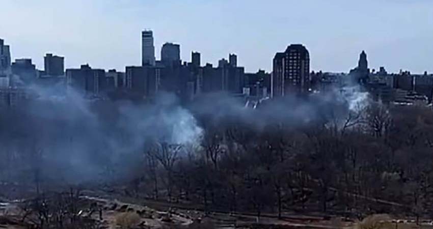 Se registran más de 10 incendios forestales en Central Park