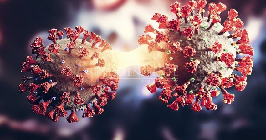 OMS: Ómicron y Delta combinados es más peligrosa
