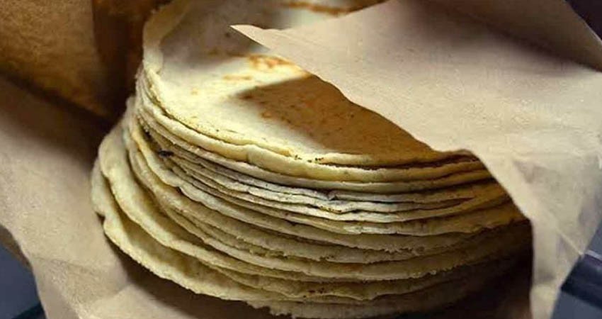 ¿La tortilla engorda? Esto dicen los nutriólogos